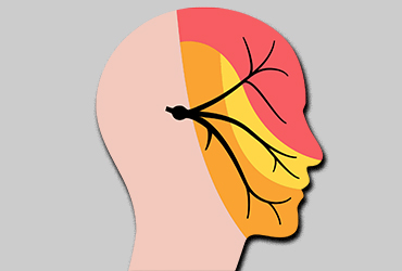 CBD & THC Gummies for Effective Pain Relief MPC