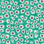 'Right to Try' Laws Place Stem Cells Front and  Center in Regenerative Pain Medicine